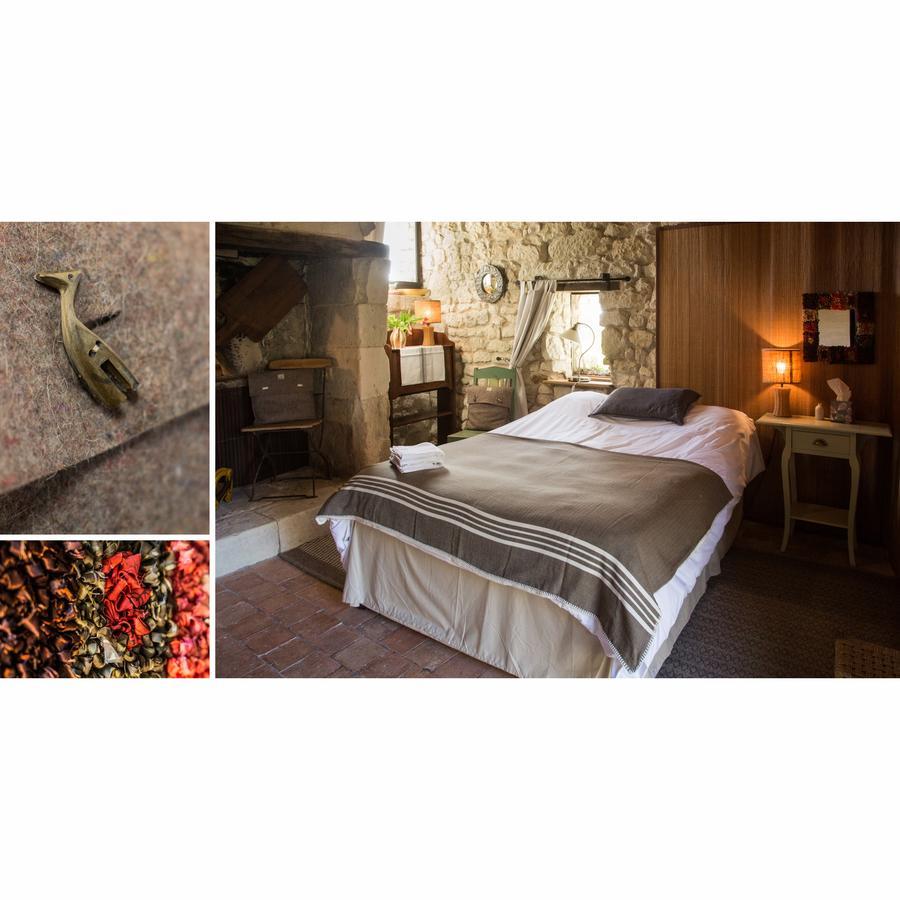 Bed and Breakfast La Grande Maison D'Arthenay Saumur Exteriér fotografie