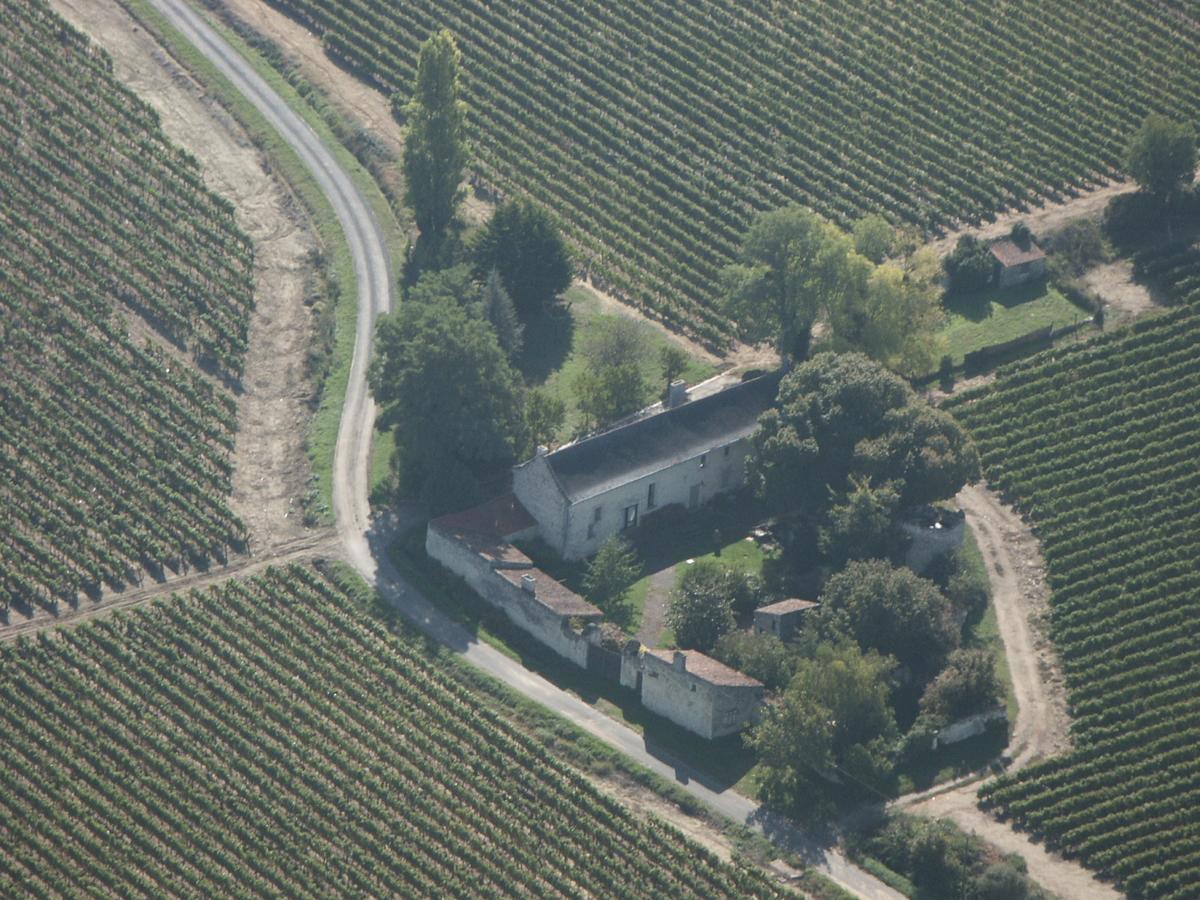 Bed and Breakfast La Grande Maison D'Arthenay Saumur Exteriér fotografie